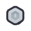 coin silver